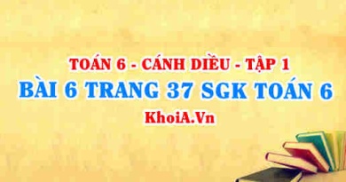 Bài 6 trang 37 SGK Toán 6 tập 1 Cánh Diều